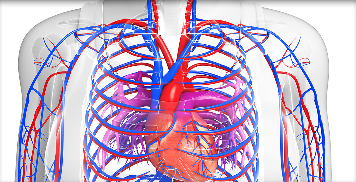 O que faz um angiologista? Áreas de atuação e Principais Tratamentos.